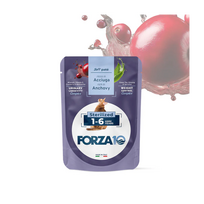 Forza 10 Adult paštetas sterilizuotoms katėms 1-6 m., su ančiuviais, 80 g