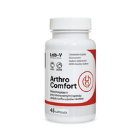 Lab-V Arthro Comfort sąnarių ir kaulų bei raumenų sistemos sveikatos palaikymas šunims ir katėms, N45