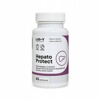 Lab-V Hepato Protect kepenų funkcijos palaikymas šunims ir katėms, N45
