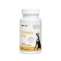 Lab-V Urinary Dog šunų šlapimo sistemos sveikatai, N45
