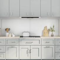 Virtuvės užpakalinė plokštė 2 pcs Skaidrus 100 x 60 cm