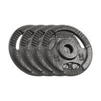 Ketaus svarelių rinkinys 4x2.5kg, skylė 31mm, plokštė su rankenomis, REBEL ACTIVE