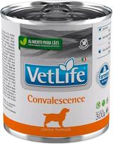 Farmina Vet Life Dog Convalescence 300 g | F033VL0101 | 8606014102789