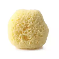 MARTINI SPA Fine natural sponge