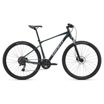 GIANT Roam 2 Bicycle, Asphalt Green (L)