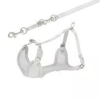 Trixie Harness – M–L: 36–50 cm/10 mm, 2.00 m