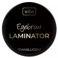 Wibo Styling Brow, Lamination Effect, Eyebrow Wax, 4.2 g