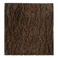 Repti Planet Terrarium background: Natural cork 43.5x56x2cm