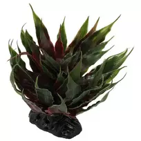 Repti Planet Decorations for terrarium: Agave succulent green, 18 cm