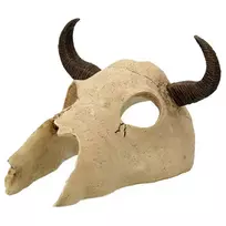 Repti Planet Decor for terrarium / skull: Buffalo skull 12.5x11.8x8cm