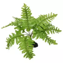 Repti Planet Decoration for terrarium: Nephrolepis fern, 20 cm