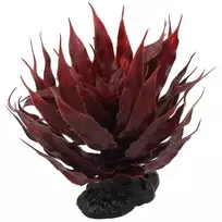 Repti Planet Decorations for terrarium: Agave succulent red, 18 cm