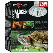 Repti Planet Halogen Spot Bulb for Terrarium : 25W