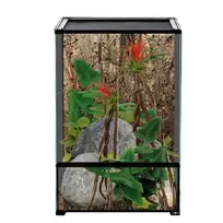 Repti Planet Terrarium: 60x45x90cm