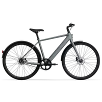 Dviratis 28" elektrinis Tenways CGO600 PRO 250Wh vyr. pilkas matinis