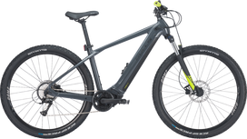Dviratis 29" elektrinis Bulls LT CX EVO vyr. BOSCH Sistema 625wh 8g pilkas