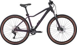Dviratis 29" Bulls Aminga 2 22g juoda/violetinė