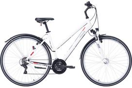 Dviratis 28" Pegasus Avanti Sport 18 trapez 18g baltas