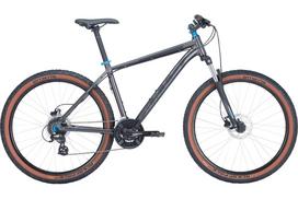 Dviratis 29" Bulls Wildtail 2 vyr. 24g pilkas