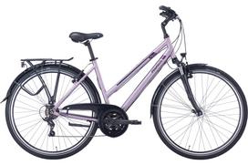 Dviratis 28" Pegasus Piazza 21g trapez šv.violetinis