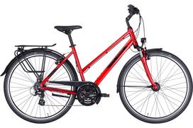 Dviratis 28" Pegasus Solero SL 24g trapez raudonas