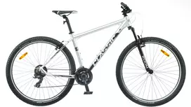 Dviratis 29  CLASSIC TEAM 29 21sp silver classic