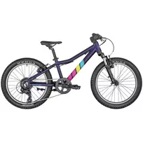 Dviratis 20  BERGAMONT BERGAMONSTER 20 PURPLE 20  lilac bergamont