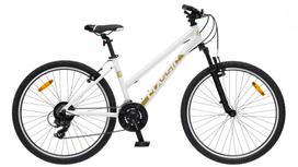 Dviratis 26  CLASSIC TEAM LADY 26 26  white classic