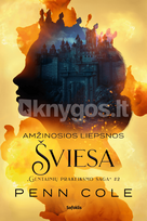 Amžinosios Liepsnos šviesa - Penn Cole