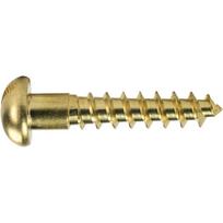 Kietos žalvario apvalios galvutės medvaržčiai su plyšiniu lizdu savisriegiai medžio apdirbimo įrankiai Medžio drožlių plokštė M2 x 10mm-5 pcs