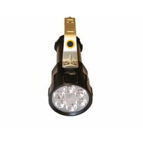 UV prožektorius LED 12W