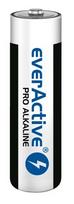 everActive Pro AA / LR6 šarminės baterijos (kartoninė dėžutė 10 vnt)