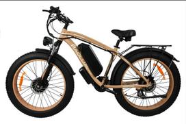 2026 naujas modelis BLJ DP-2602, dvigubas 2000W variklis, 48V 23AH baterija, hidrauliniai stabdžiai, aliuminio lydinio rėmas 2000W (dual motor) 48V 23AH mėlyna
