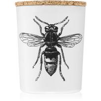 Vila Hermanos Insect Calabrone kvapioji žvakė 75 g