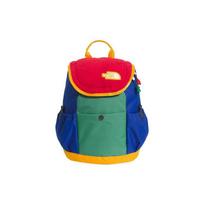 The North Face 10L Jaunimo Mini Explorer Kuprinė su Logotipo Pleistru Vyriška Kuprinė Raudona Žalia Mėlyna NF0A52VW-IUD Mini blue