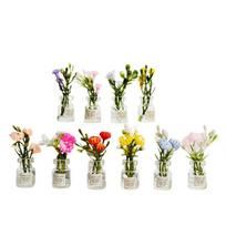 10-30 vnt. Mini tamsiai šviečiantis gėlių vaza mažoms gėlėms, šakoms, karoliukams, vestuvių vakarėlio puošybai, elegantiškos stalviršio vazos 10pcs