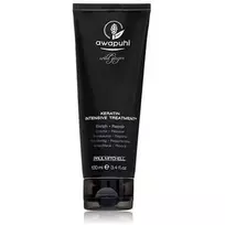 Hair Mask Paul Mitchell Awapuhi Wild Ginger Repair Intensive Treatment, 500ml