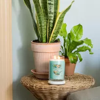 Yankee Candle Debenhams Signature Large Jar Aloe  AND  Agave