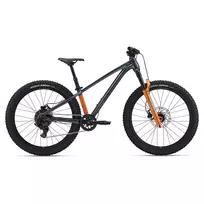 Children's bicycle GIANT STP 24 (2026) Black Chrome