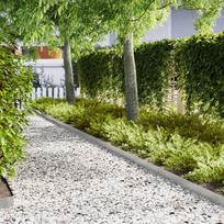 vidaXL Cinkuoto plieno 100 x 0.5 x 15 cm Tvirtas sodo bortas | 865938 | 8721158870261