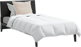 vidaXL Antklodė su pagalve 2 vnt White 155 x 220 cm Pūkas | 3376284 | 8721288603234