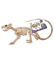 RAT SKELETON 40 cm