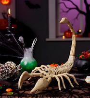 SCORPION SKELETON 30 cm