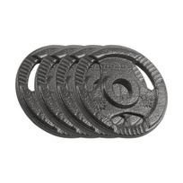 Svorio diskų rinkinys Rebel Active, 4x1.25 kg