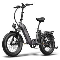 Elektrinis dviratis Fafrees FF20 Polar 20  500W variklis Sulankstomas suaugusiųjų elektrinis dviratis 7 pavaros LCD ekranas 48V 24AH Maksimali apkrova 150Kg Mechanical Brake žalia