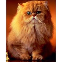 5D Diy Diamond Painting Little Fat Cat Diamond Embroidery Cross Stitch Home Decor Handmade Gifts Round 20x30cm