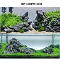 Azure Dragon Stone Aquarium and Terrarium Ornament - Micro Landscape Decoration for Fish Tanks and Bonsai. 5-10cm