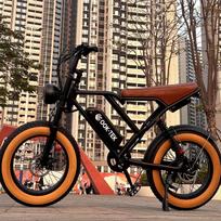 Naujas S8 2000W dviejų variklių 48V 25AH 20 colių pločio padangos, priekiniai ir galiniai amortizatoriai, elektrinis dviratis su pedalais. 1000W-48V-17.5AH juoda