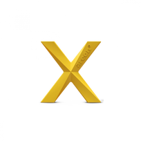 Oro gaiviklis AREON Xperience Vanilla APX02