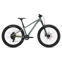 Children's bike LIV STP 20, Soap Suds
